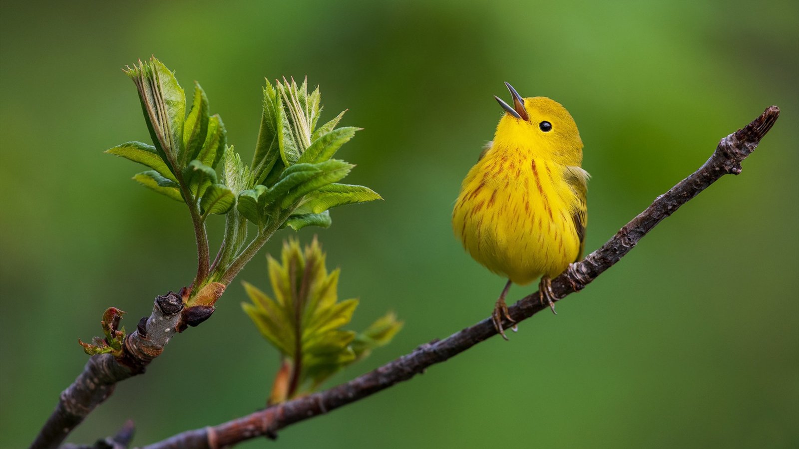 安全联盟是什么梗?安全联盟第三方公司很皮啊