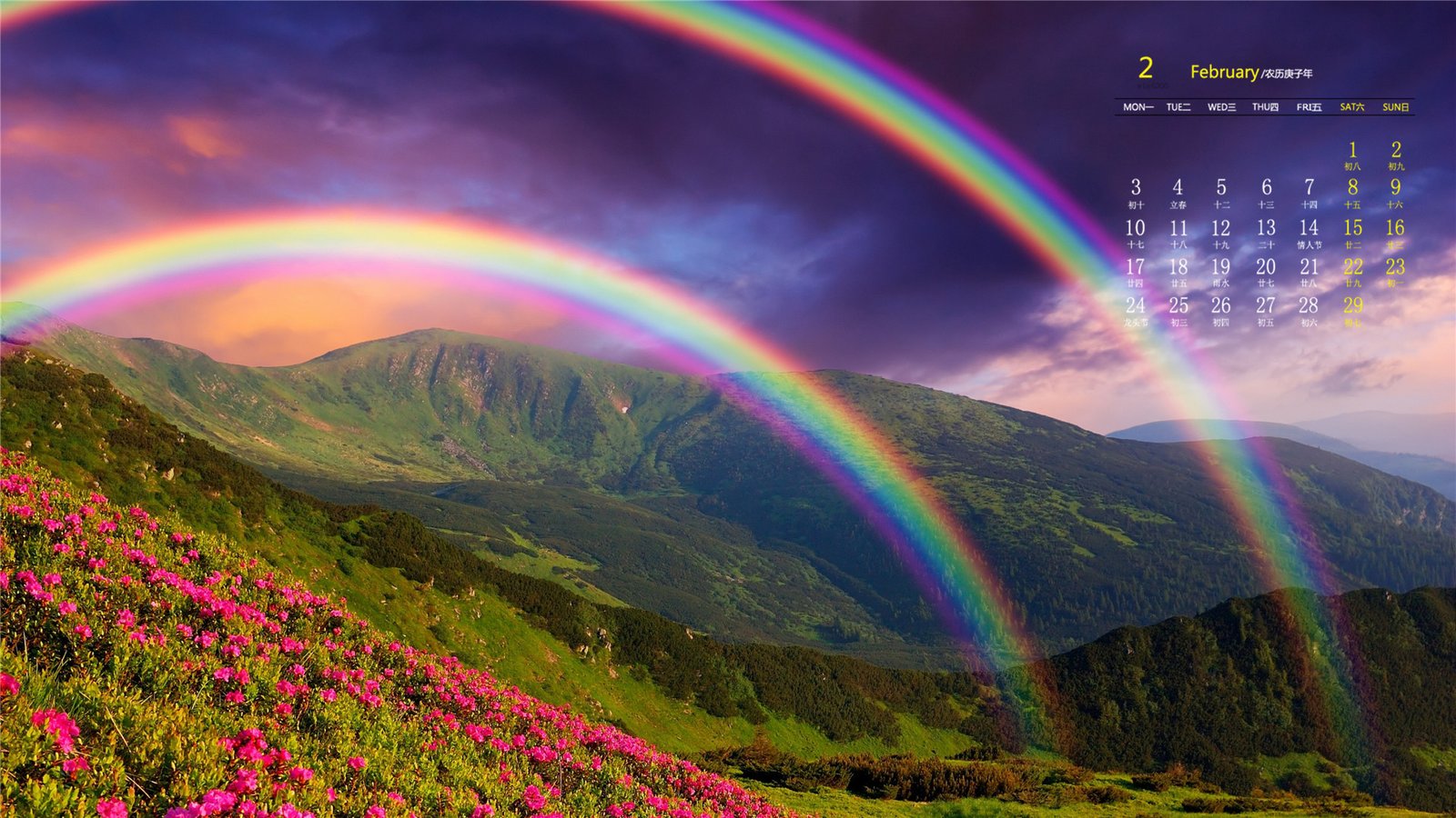 事实证明:蜘蛛是抓取不到JS的