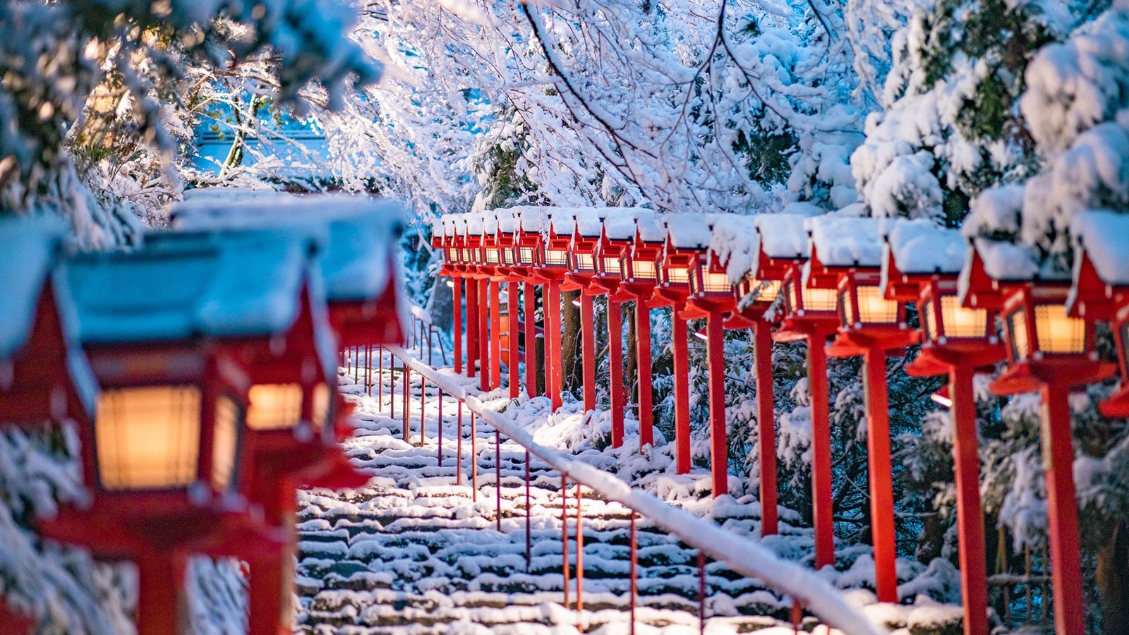 又要准备做新站了