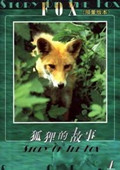 狐狸的故事 日本版