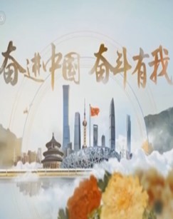 奋进中国奋斗有我