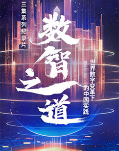 数智之道