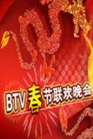 北京电视台春节联欢晚会 2013