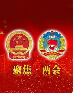 2020十三届全国人大三次会议开幕会