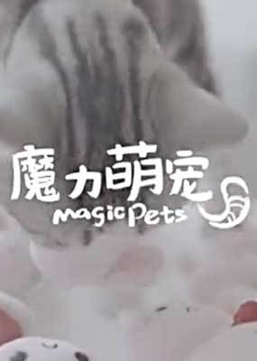 魔力萌宠