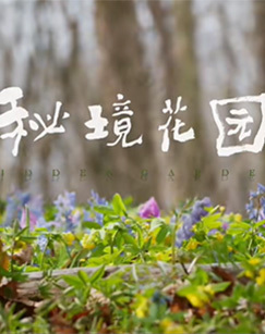 秘境花园