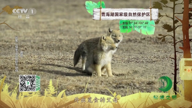 秘境之眼