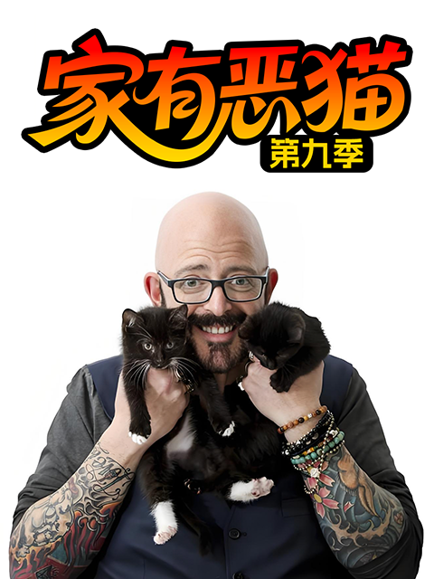 家有恶猫 第九季