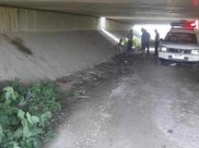 张馨予刚宣布婚讯，就有网友晒出负面消息，新郎发声护短太暖心！