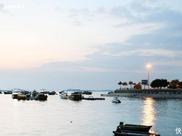 农民种植长在旱地里的藕，一亩净收一万元