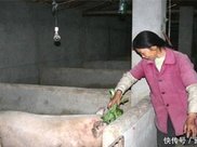 我国唯一一个有“错别字”火车站,很多人发现了,却至今未去更改