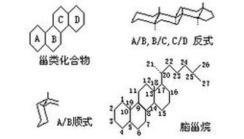 醛甾酮等〕c2     甾类化合物 steroid 具有甾核,即环戊烷多氢菲碳