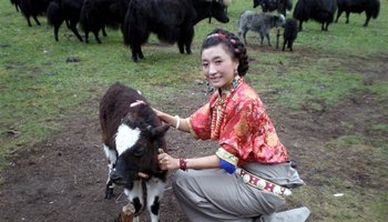 格桑花开《嘉央曲珍 南局南段 m13979095549_3的博客