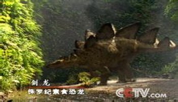 剑龙类