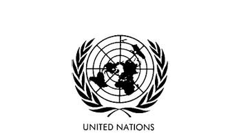 联合国维和行动