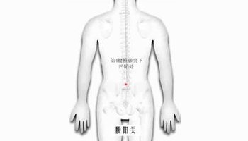 在腰部,身体后正中线上,第四腰椎棘突下凹陷中.