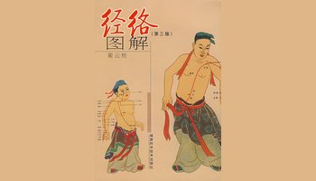 经络图解