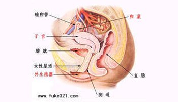 阴道后壁脱垂