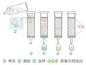 凝胶过滤层析