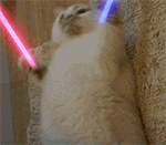 Giligili+.gif