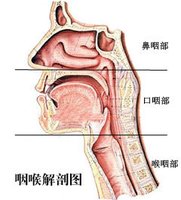 咽喉炎