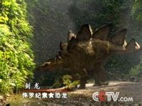 剑龙类