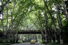 陵园路