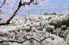 金阳县旅游风光