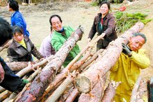 财力、物力