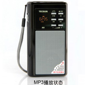 TECSUN 德生 数码音乐播放器A6(黑) - 收音机