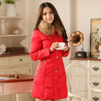 清仓 hongdou红豆 2013冬季新款 <em>羽绒服 女款</em> 