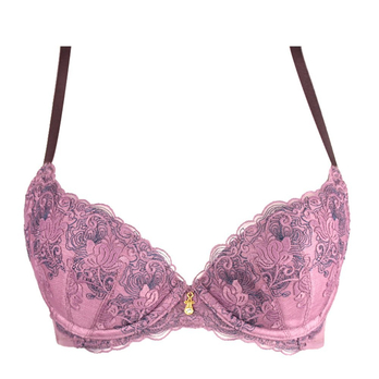 Triumph<em>黛安芬</em>2013年落英缤纷钻石杯舒适奢华