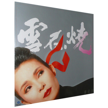 黄莺莺 雪在烧 (国语版) LP黑胶唱片 - 音乐CD\/