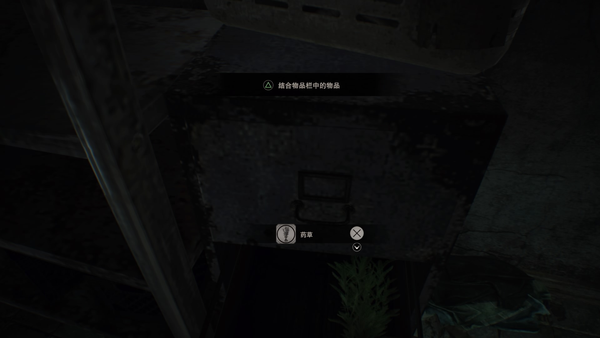 T113.png