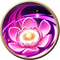 落•红雨.png