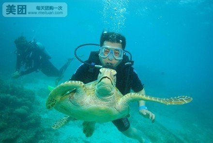 分界洲岛+大堡礁潜水套票