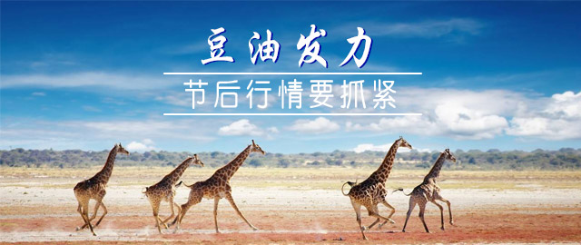 【独家】豆油发力,节后行情要抓紧