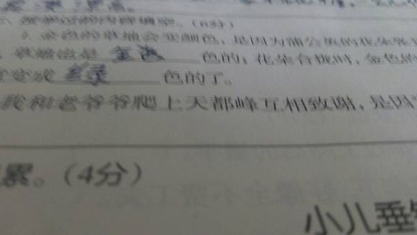 下载作业盒子小学学生端后为何一登陆就显示停