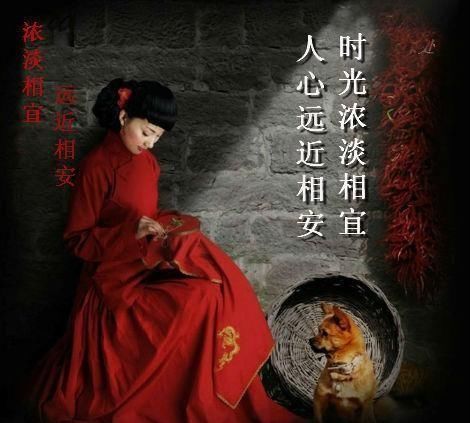 看书时会不会有写心得抄好句的习惯?尤其是一