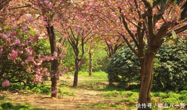 郑州超大一片情趣玩法大全私藏,是免费v情趣好图片椅面积花海使用粉色图片