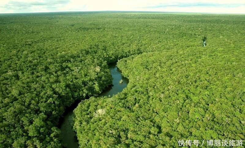 t0102c4efa3ae327c0a.jpg