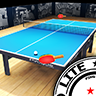 Pro Arena Table Tennis LITE