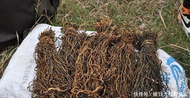 t01034e21d16d0b4caa.jpg?size=640x331