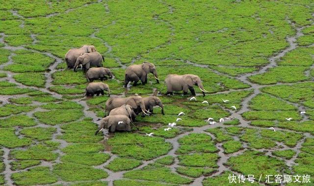 江一燕流连忘返的圣地,探险家的乐园,这个国度终于落地签啦!
