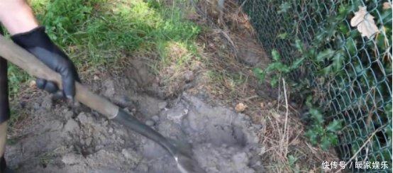把2000度的铝水倒入老鼠洞,意外挖出大宝贝,镜头记录全过程 通博