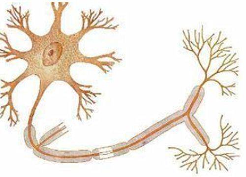 盘点那些会引起糖尿病足的因素,很多糖友都没注意!
