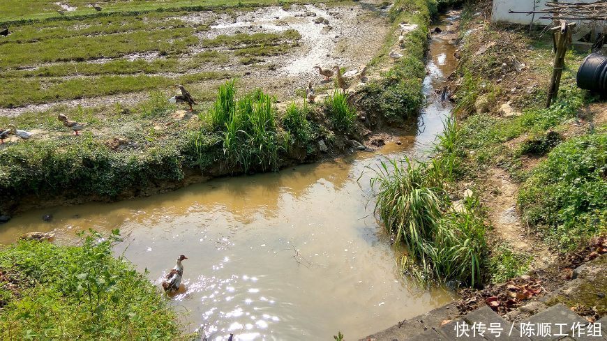 农村能用第三种饮水方式的,基本可以说明这个地区绿色无污染