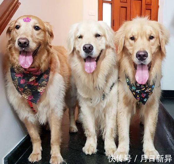 疗养院是干什么的