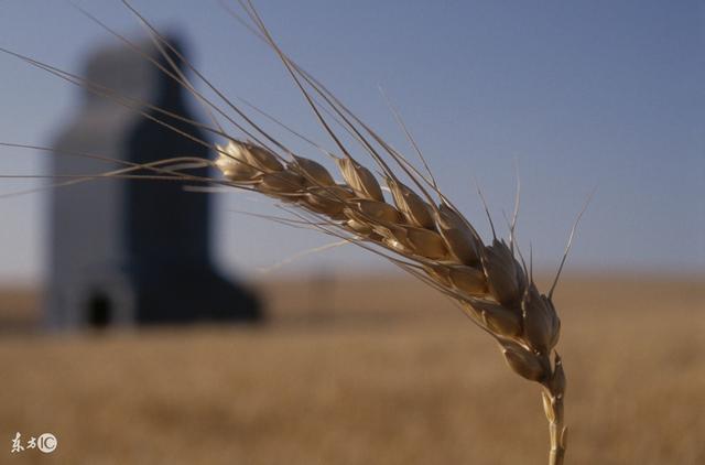 加快生态文明建设和实施乡村振兴战略的正确性