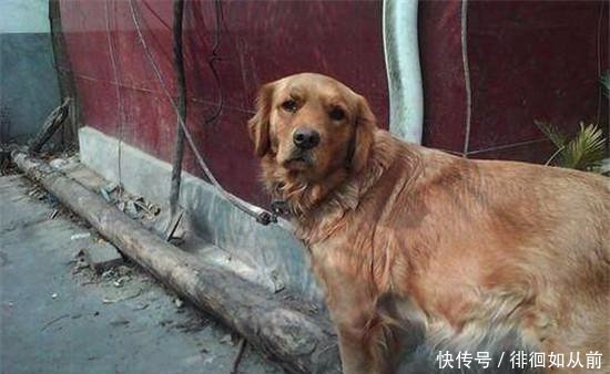 用什么方法不让母狗怀孕 t010489ccb60da7327e.jpg